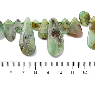 Natural Chrysoprase Beads Strands G-F645-16-01-1