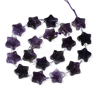 Natural Amethyst Beads Strands G-N333-003-1