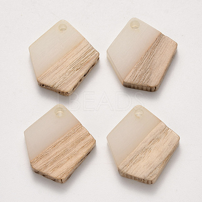 Transparent Resin & Wood Pendants RESI-S384-003A-C01-1