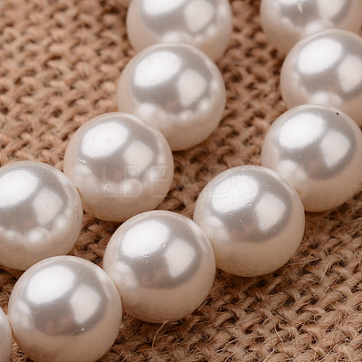Polished Round Grade A Shell Pearl Bead Strands BSHE-M027-10mm-28-1
