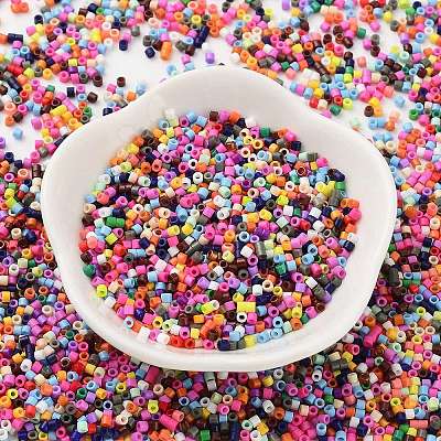 Baking Paint Glass Seed Beads SEED-S042-05B-48-1
