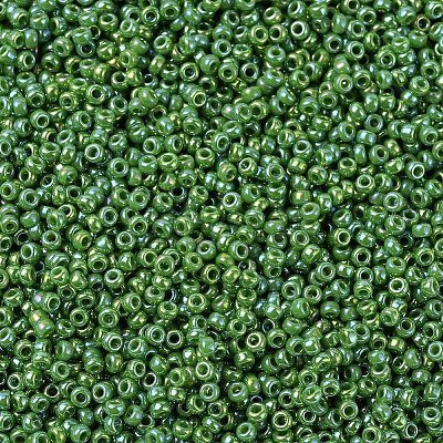 MIYUKI Round Rocailles Beads SEED-X0054-RR0480-1