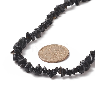 Natural Obsidian Chip Beaded Necklaces with 304 Stainless Steel Lobster Claw Clasp & Chain Extender NJEW-JN04225-03-1