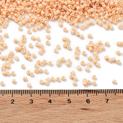 Baking Paint Glass Seed Beads SEED-S042-05B-80-1