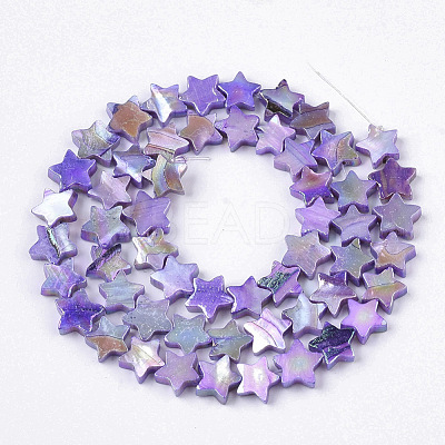 Freshwater Shell Beads Strands SHEL-N026-08D-1