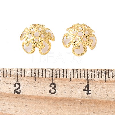 Iron Bead Caps IFIN-D040-G-1