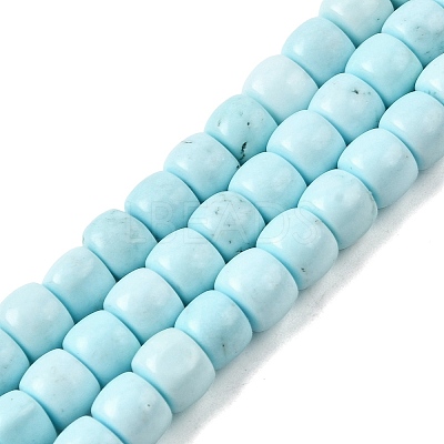 Natural Magnesite Beads Strands G-P598-C01-01B-1