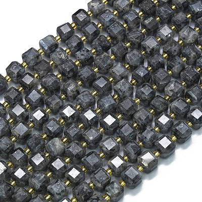 Natural Larvikite Beads Strands G-K389-A31-01-1