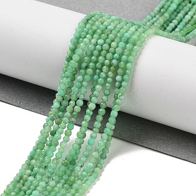 Natural Chrysoprase Beads Strands G-B088-C19-02-1