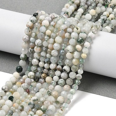 Natural Tree Agate Beads Strands G-RM250104-D6-1