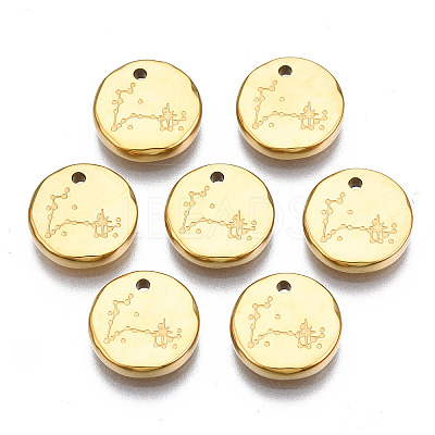 316 Surgical Stainless Steel Charms LS-STAS-S116-418L-G-1