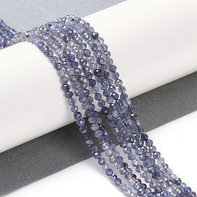 Natural Iolite Beads Strands LS-G-N342-32-1