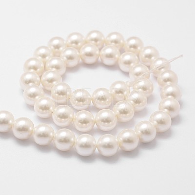 Shell Pearl Bead Strands X-BSHE-L026-03-6mm-1