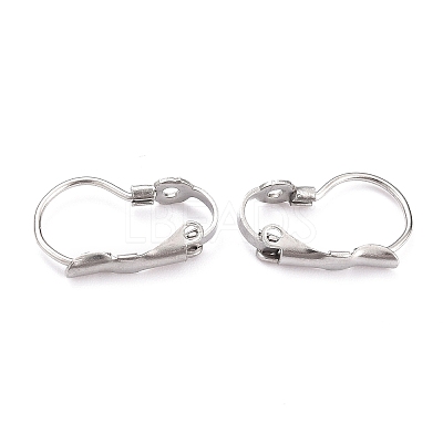 Tarnish Resistant 304 Stainless Steel Leverback Earring Findings LS-STAS-B003-05P-1