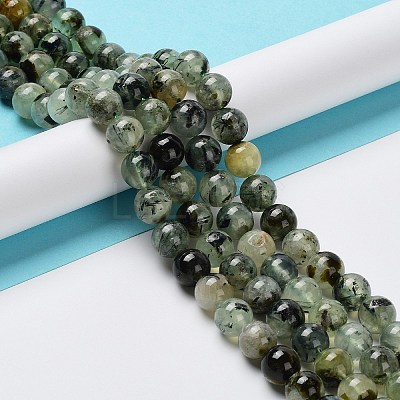 Natural Prehnite Beads Strands G-G457-10mm-03-1