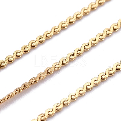 3.28 Feet 304 Stainless Steel Serpentine Chains X-CHS-F011-12A-G-1