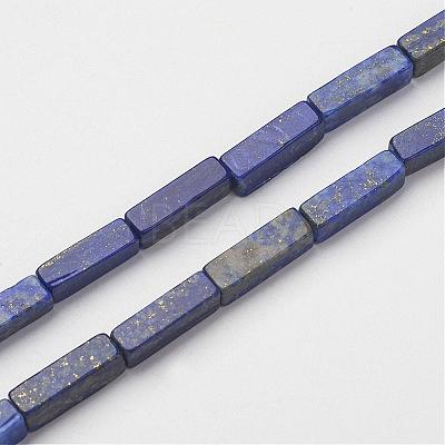 Natural Lapis Lazuli Beads Strands G-G968-D03-1