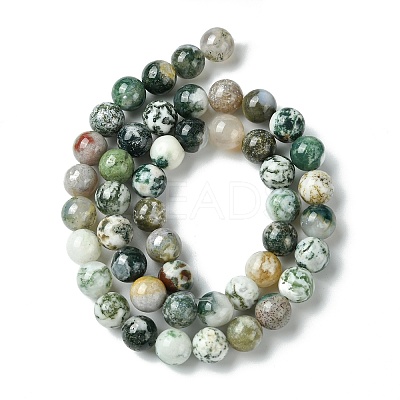 Natural Tree Agate Round Gemstone Beads Strands G-R255-8mm-1