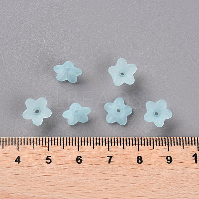 Transparent Acrylic Beads PL554-11-1
