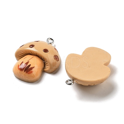 Resin Pendants RESI-Z031-01A-1