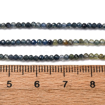 Gradient Color Natural Sapphire Beads Strands G-F803-A01-01A-1