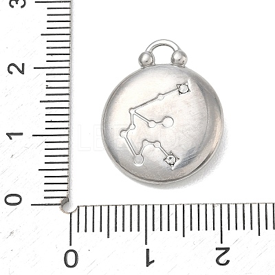 12 Constellations 304 Stainless Steel Pendants STAS-F354-01P-12-1