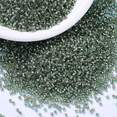 MIYUKI Delica Beads X-SEED-J020-DB2165-1