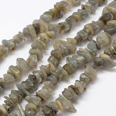 Natural Labradorite Beads Strands G-F521-13-1