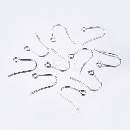 Tarnish Resistant 304 Stainless Steel Earring Hooks X-STAS-P162-13P-A-1