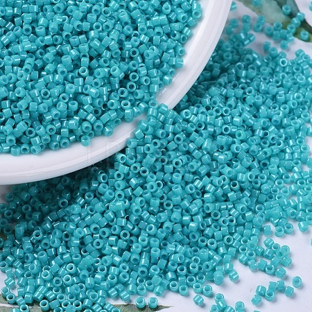 MIYUKI Delica Beads SEED-X0054-DB0658-1