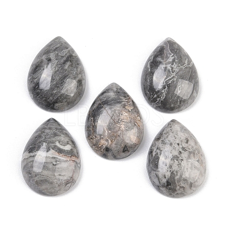 Natural Map Stone Cabochons G-H094-01A-34-1