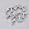 Alloy Slide Charms PALLOY-WH0066-21T-2