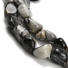 Natural Picasso Jasper Beads Strands G-K398-A01-01-4