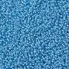 MIYUKI Round Rocailles Beads X-SEED-G008-RR0221-3