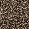 6/0 Glass Seed Beads X1-SEED-L011-08A-09-3