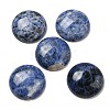 Natural Sodalite Cabochons G-C115-02B-18-1