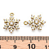 Brass Micro Pave Cubic Zirconia Charms LS-ZIRC-Q014-001C-NF-3