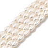 Natural Cultured Freshwater Pearl Beads Strands PEAR-I007-01P-05-2