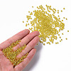 8/0 Glass Seed Beads SEED-A006-3mm-110-4