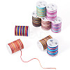 9 Rolls 9 Colors Segment Dyed Polyester Thread NWIR-TA0001-37B-2