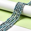 Natural Gemstone Beads Strands G-F730-02A-2