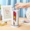 Plastic Scrunchie Holders with Clear Cover CON-WH0107-76-3