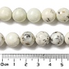 Natural Dendritic Jasper Beads Strands G-H298-A15-05-5