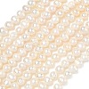 Natural Cultured Freshwater Pearl Beads Strands PEAR-L034-11B-2