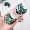 Natural Moss Agate Display Decorations G-PW0004-15-1