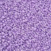12/0 Grade A Round Glass Seed Beads SEED-N001-B-337-2