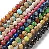 Dyed Natural Regalite/Imperial Jasper/Sea Sediment Jasper Beads Strands G-B124-C01-1