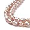Natural Cultured Freshwater Pearl Beads Strands PEAR-E016-183B-01-3