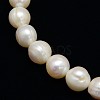 Natural Cultured Freshwater Pearl Beads Strands PEAR-L001-B-07-01-2