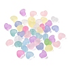 Frosted Transparent Acrylic Beads FACR-C001-01G-1